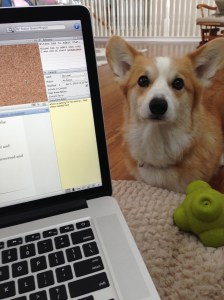 Get the ball! Get the ball!