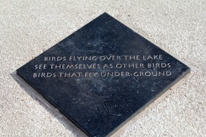 7583241294_35ca485a3e_z