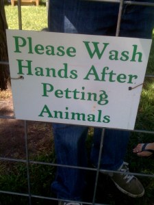 petting_zoo_handwash_10(4)