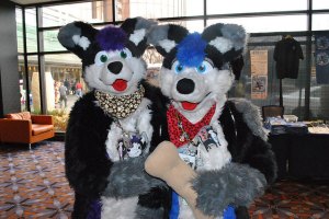 flickr creative commons via douglas furth