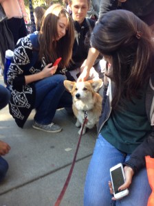 Tanner is NOT camera shy