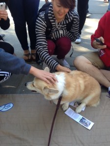 Emma really got into all the attention