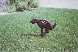 image by angel hsu via flickr creative commons