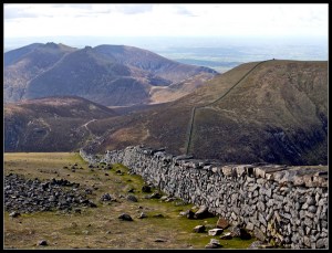 image by philip milne via flickr creative commons