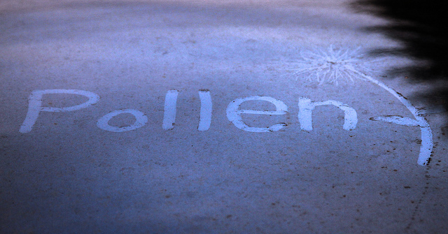 4501347937_49cfe32c3a_z